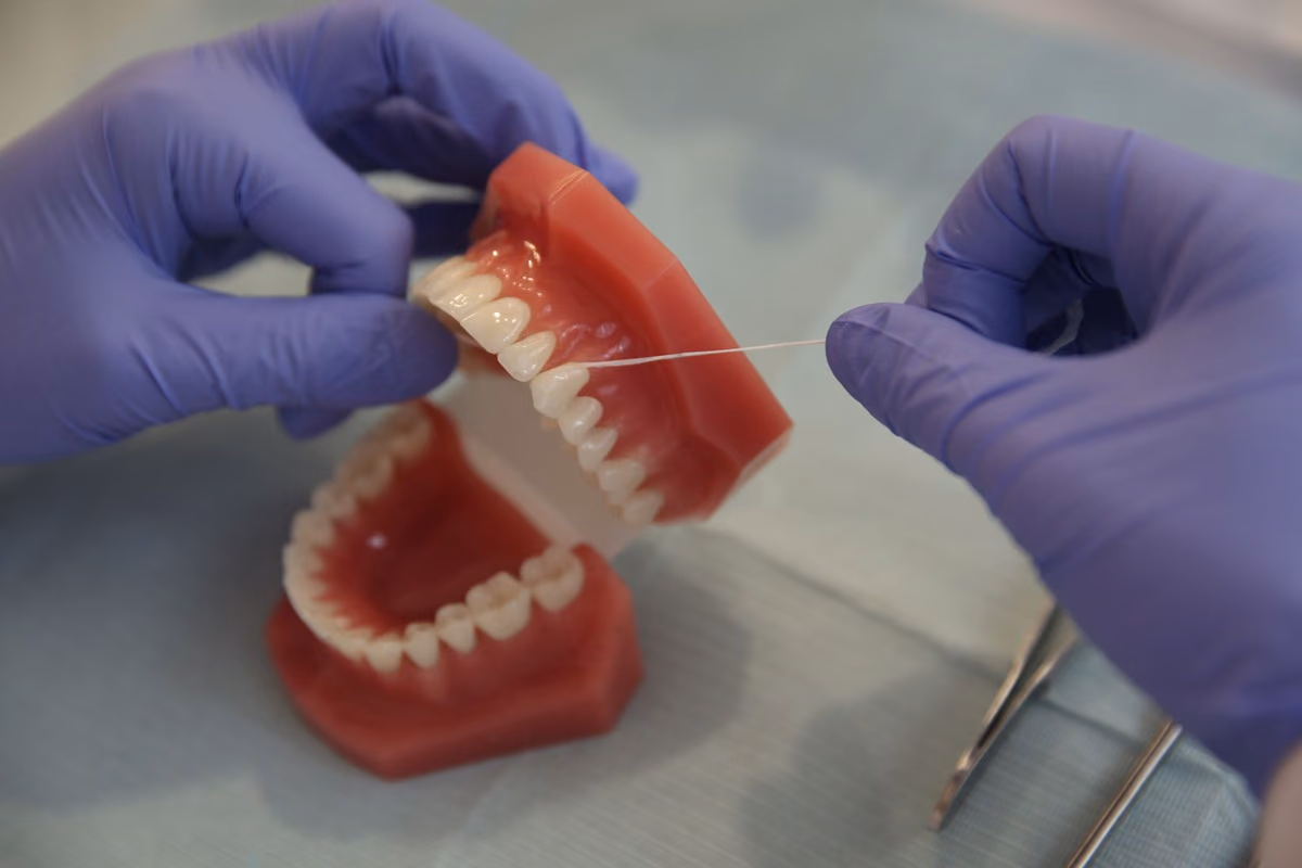 Gloved hands demonstrating flossing on a dental model, the daily cleaning technique needed underneath a fixed implant bridge.
